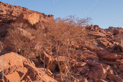 Namibia's stones - geological features of the desert.