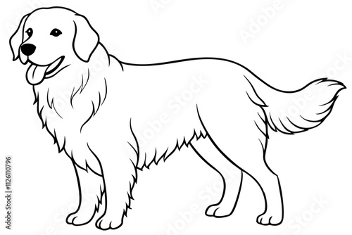 Golden Retriever Vector Line Art