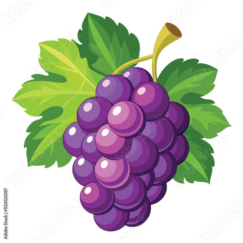 bunch of grapes Vector isolated on a white background