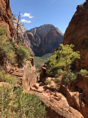 Foto Zion National Park - St. George Utah - hiking - mountains