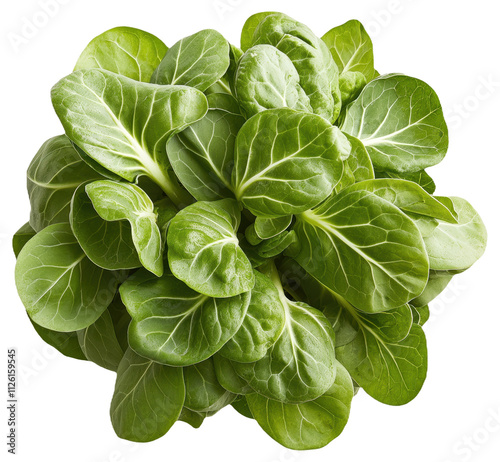 PNG Bok choy leaves arranged