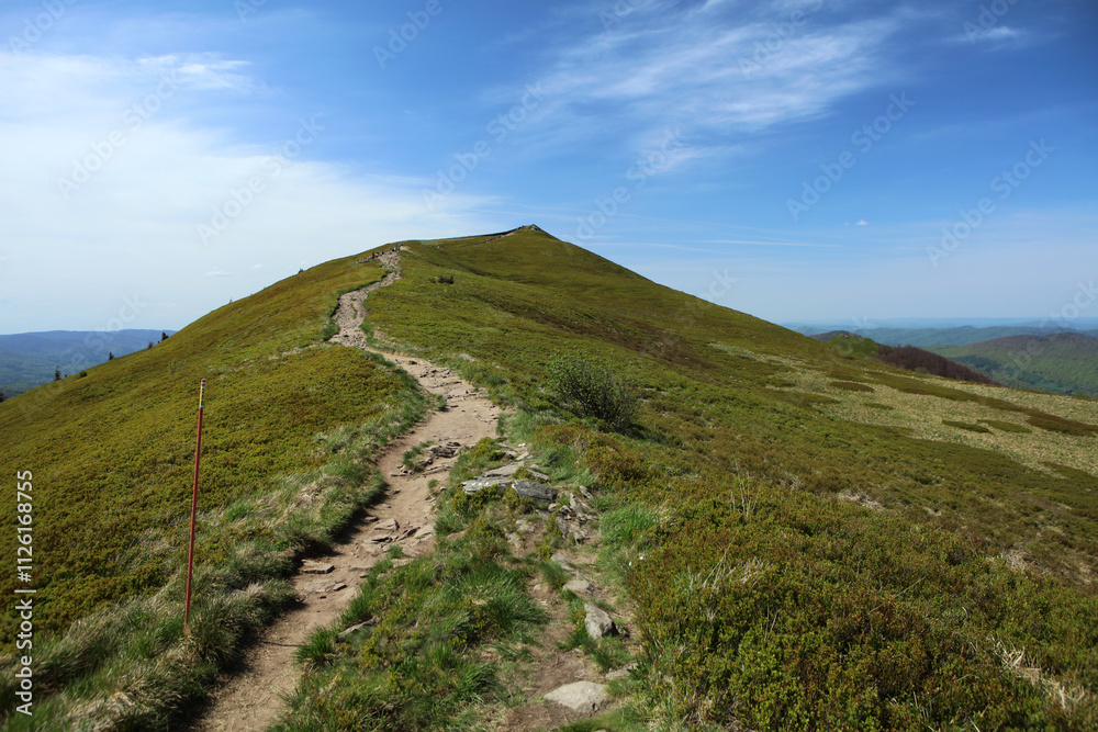 Landscape of Polonina Carynska in Bieszczady mountain range, Poland