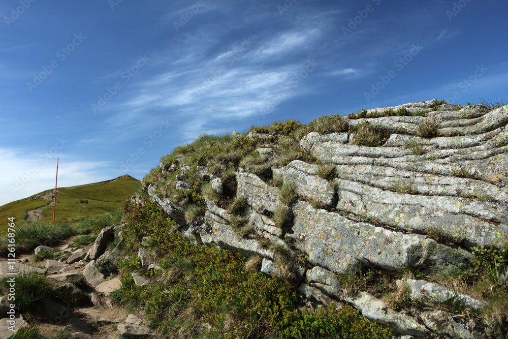 Landscape of Polonina Carynska in Bieszczady mountain range, Poland