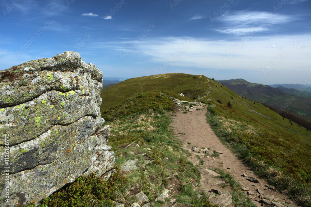 Landscape of Polonina Carynska in Bieszczady mountain range, Poland