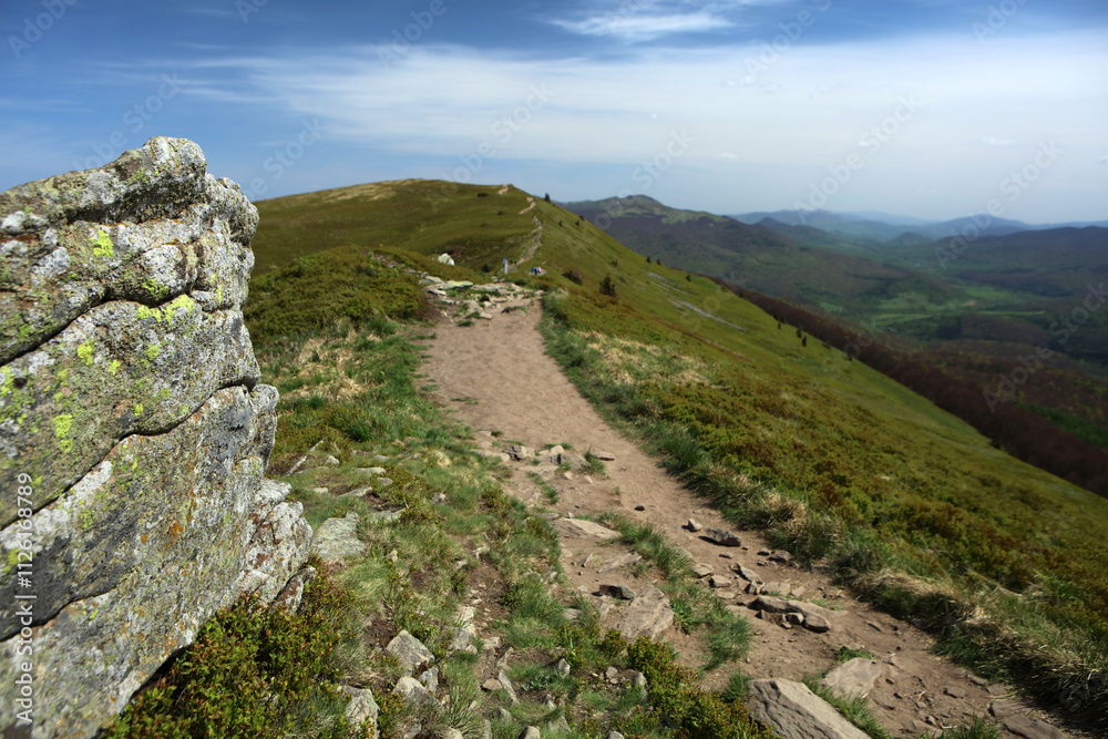 Landscape of Polonina Carynska in Bieszczady mountain range, Poland