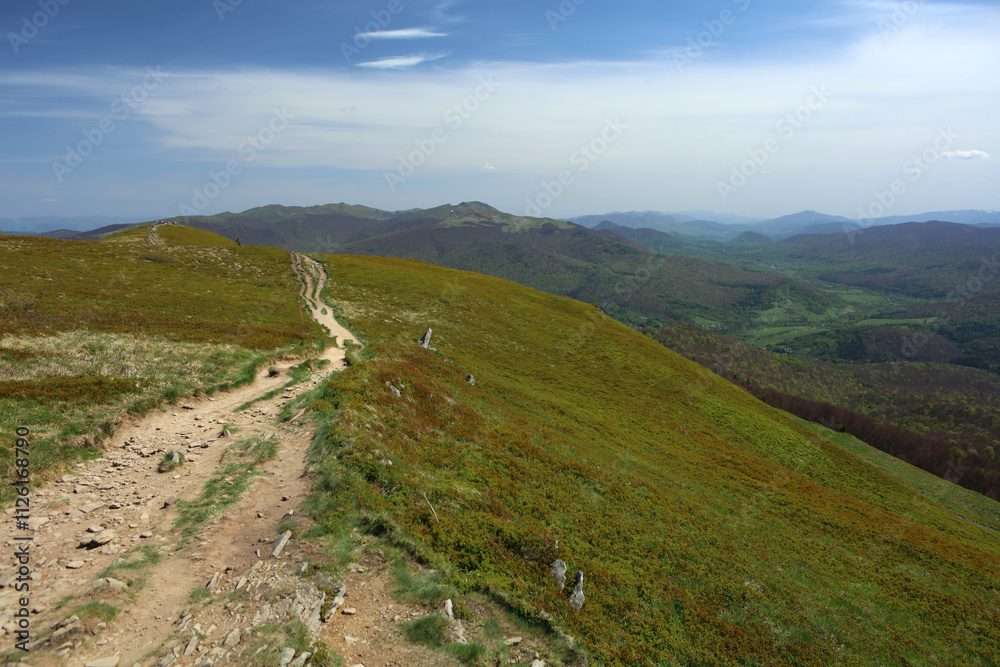 Landscape of Polonina Carynska in Bieszczady mountain range, Poland