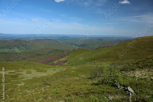 Obraz na płótnie Carynskie - former, abandoned village - view from Polonina Carynska in Bieszczady mountain range, Poland w salonie