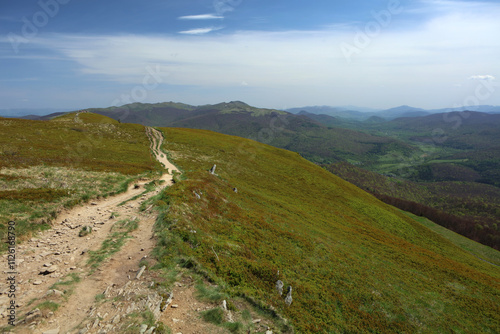 Obraz na płótnie Landscape of Polonina Carynska in Bieszczady mountain range, Poland w salonie