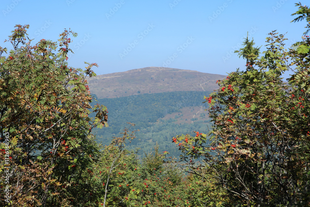 Polonina Carynska - view from Wielka Rawka peak in Bieszczady mountain range, Poland