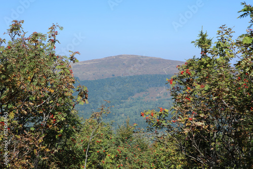 Obraz na płótnie Polonina Carynska - view from Wielka Rawka peak in Bieszczady mountain range, Poland w salonie