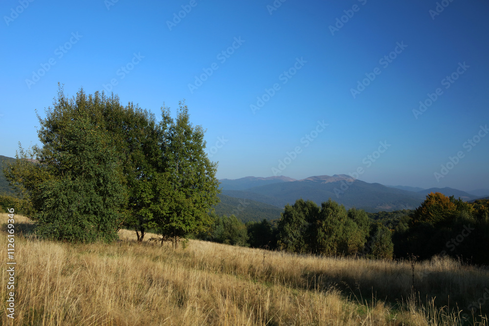 Tarnica - the highest peak in Bieszczady mountain range, Poland