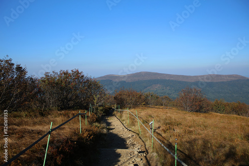 Obraz na płótnie Polonina Carynska - view from Wielka Rawka peak in Bieszczady mountain range, Poland w salonie