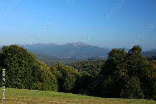 Obraz na płótnie Tarnica - the highest peak in Bieszczady mountain range, Poland w salonie