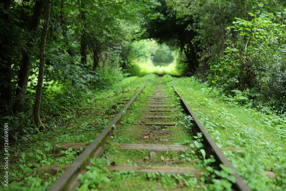 Unused, forgotten narrow-gauge railway tracks in former, abandoned village - Duszatyn in Bieszczady mountain range, Poland