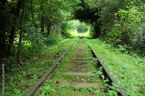 Obraz na płótnie Unused, forgotten narrow-gauge railway tracks in former, abandoned village - Duszatyn in Bieszczady mountain range, Poland w salonie