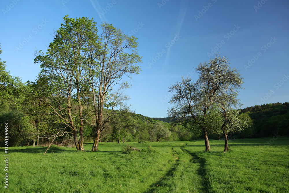 Landscape of former, abandoned village - Nieznajowa in Low Beskids mountain range, Poland