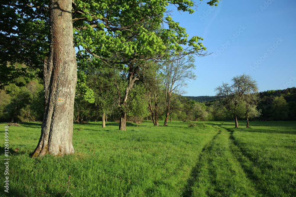 Landscape of former, abandoned village - Nieznajowa in Low Beskids mountain range, Poland