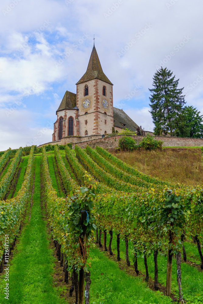Vineyards and the fortified church of Hunawihr