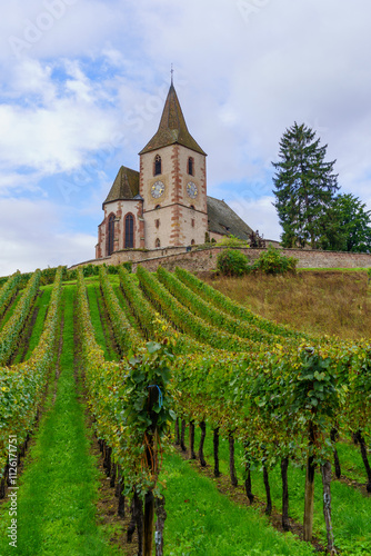 Obraz na płótnie Vineyards and the fortified church of Hunawihr w salonie