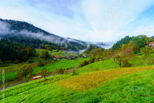 Obraz na płótnie Countryside in the Black Forest w salonie