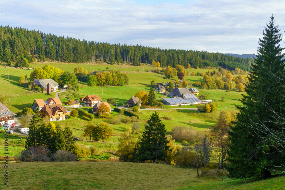 Countryside landscape, in the Black Forest