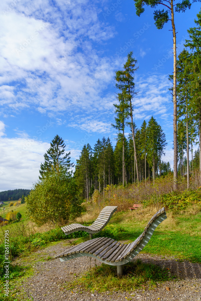 Countryside landscape, in the Black Forest