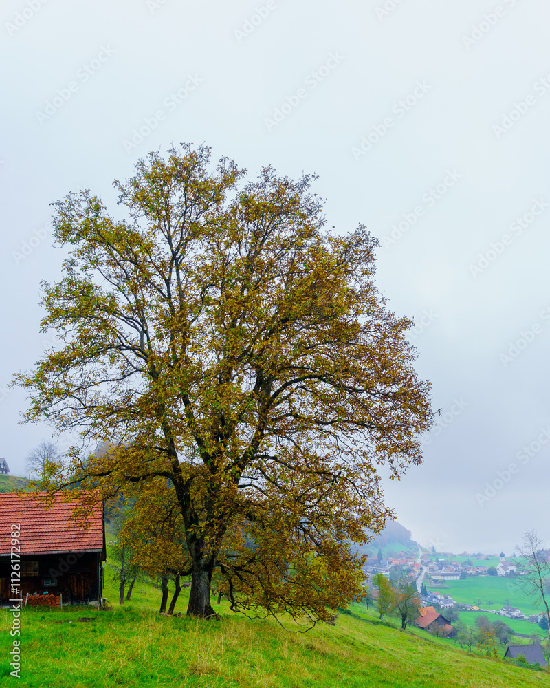 Countryside with Lake Constance, northeast Switzerland