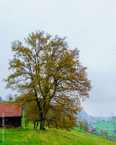 Obraz na płótnie Countryside with Lake Constance, northeast Switzerland w salonie