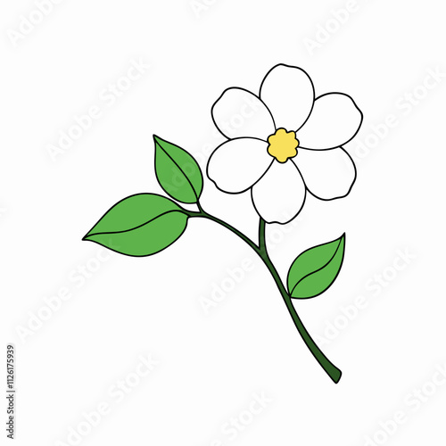 dogwood Flower Color vector design