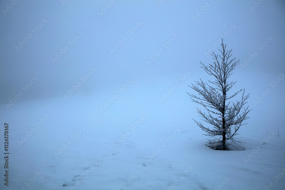 Winter landscape - on the hiking trail to Tarnica mountain - the highest peak of Bieszczady mountain range in Poland