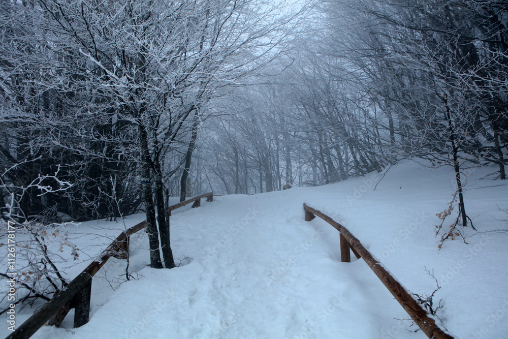 Winter landscape - on the hiking trail to Tarnica mountain - the highest peak of Bieszczady mountain range in Poland