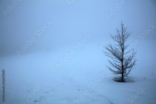 Obraz na płótnie Winter landscape - on the hiking trail to Tarnica mountain - the highest peak of Bieszczady mountain range in Poland
w salonie
