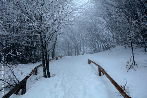 Obraz na płótnie Winter landscape - on the hiking trail to Tarnica mountain - the highest peak of Bieszczady mountain range in Poland
w salonie