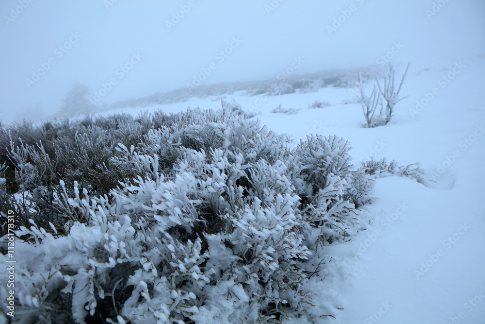 Winter landscape - on the hiking trail to Tarnica mountain - the highest peak of Bieszczady mountain range in Poland