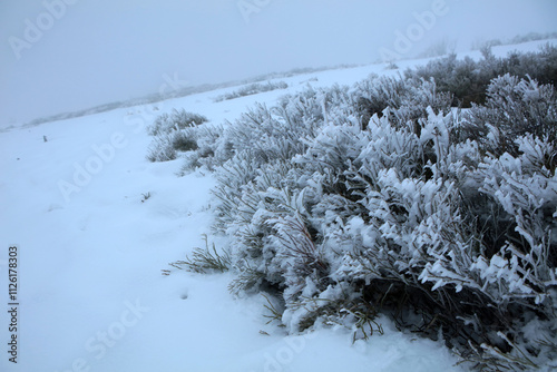 Obraz na płótnie Winter landscape - on the hiking trail to Tarnica mountain - the highest peak of Bieszczady mountain range in Poland
w salonie