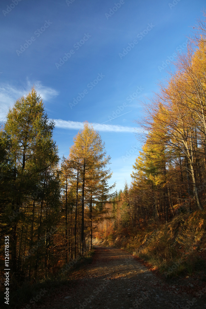 Autumn landscape of Little Beskid Mountains near Magurka Peak, Poland Autumn landscape of Little Beskid Mountains near Magurka Peak, Poland