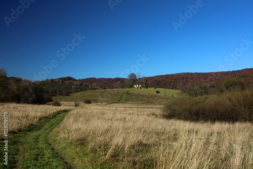 Fototapeta Naklejka Na Ścianę i Meble -  Landscape of old abandoned village Krywe with ruins of orthodox church in Bieszczady Mountains, Poland
