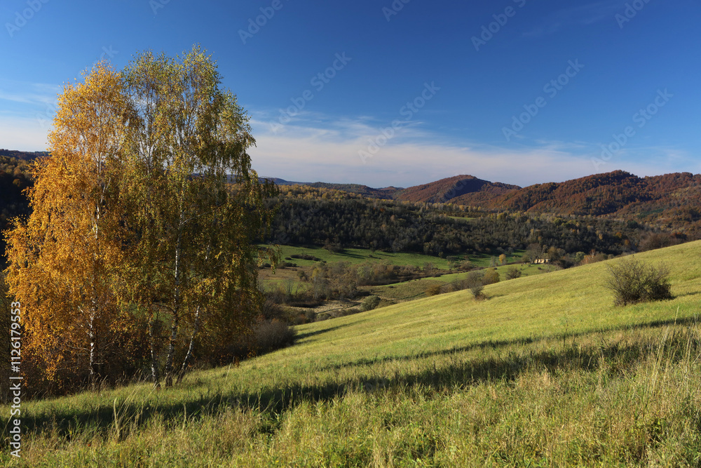 Landscape of old abandoned village Krywe with ruins of orthodox church in Bieszczady Mountains, Poland Landscape of old abandoned village Krywe with ruins of orthodox church in Bieszczady Mountains, Poland
