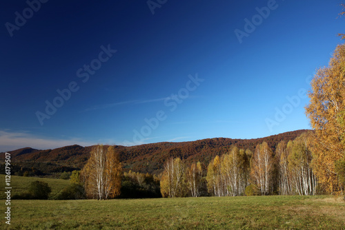 Fototapeta Naklejka Na Ścianę i Meble -  Landscape of old abandoned village Krywe in Bieszczady Mountains, Poland