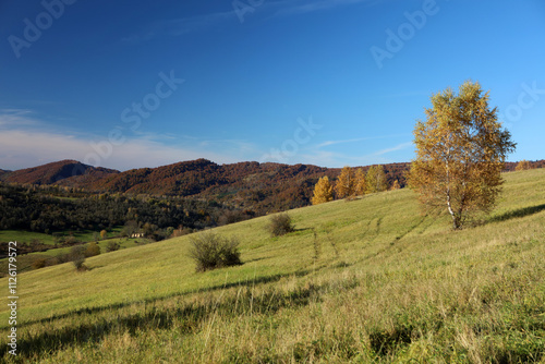 Fototapeta Naklejka Na Ścianę i Meble -  Landscape of old abandoned village Krywe with ruins of orthodox church in Bieszczady Mountains, Poland