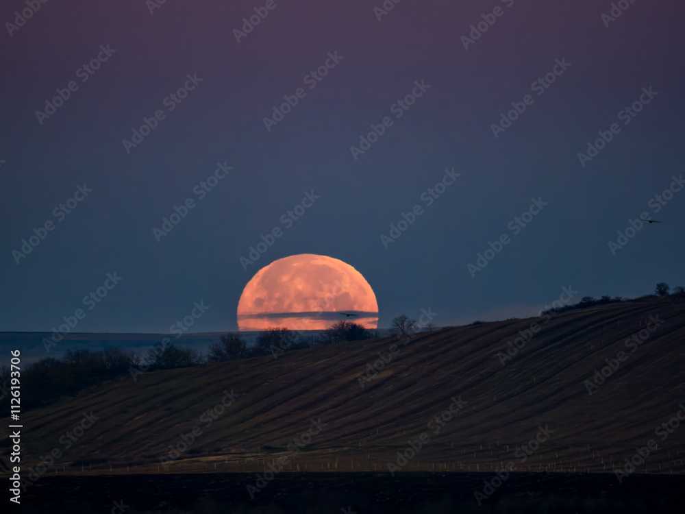 Fototapeta premium Very dense close-up of red full moon in the night sky