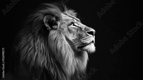 Portrait of a Majestic Lion