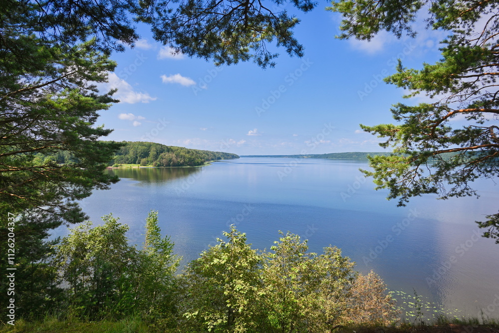 Obraz premium Picturesque view of the Volga River in the thickets of pine needles, Ivanovo region of Russia