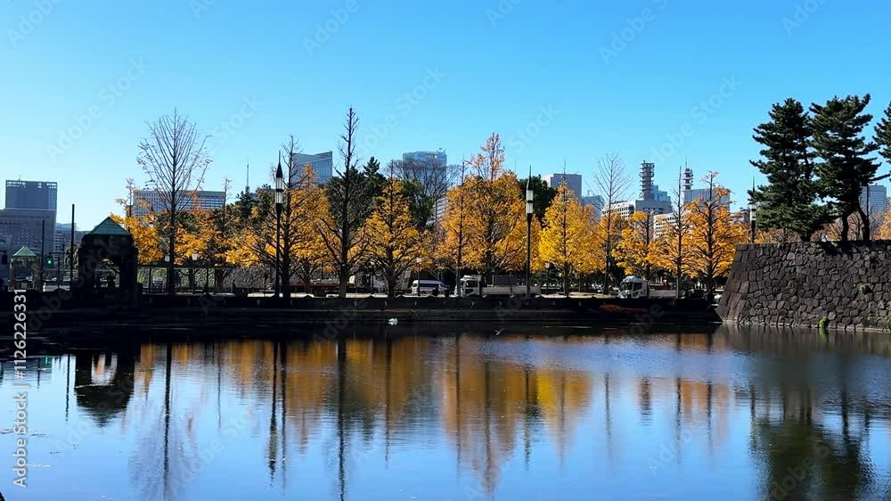 Bright autumn trees reflected in a calm moat near Tokyo's Imperial Palace on a clear day Bright autumn trees reflected in a calm moat near Tokyo's Imperial Palace on a clear day
