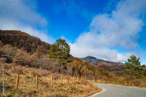 群馬県嬬恋村　湯の丸高原の秋の風景