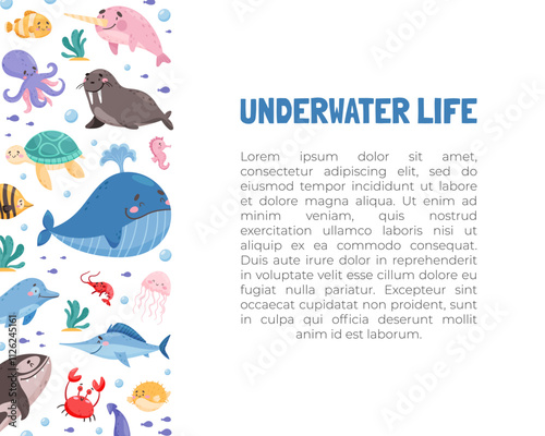 Sea Animal and Marine Underwater Swimming Creature Banner Design Vector Template