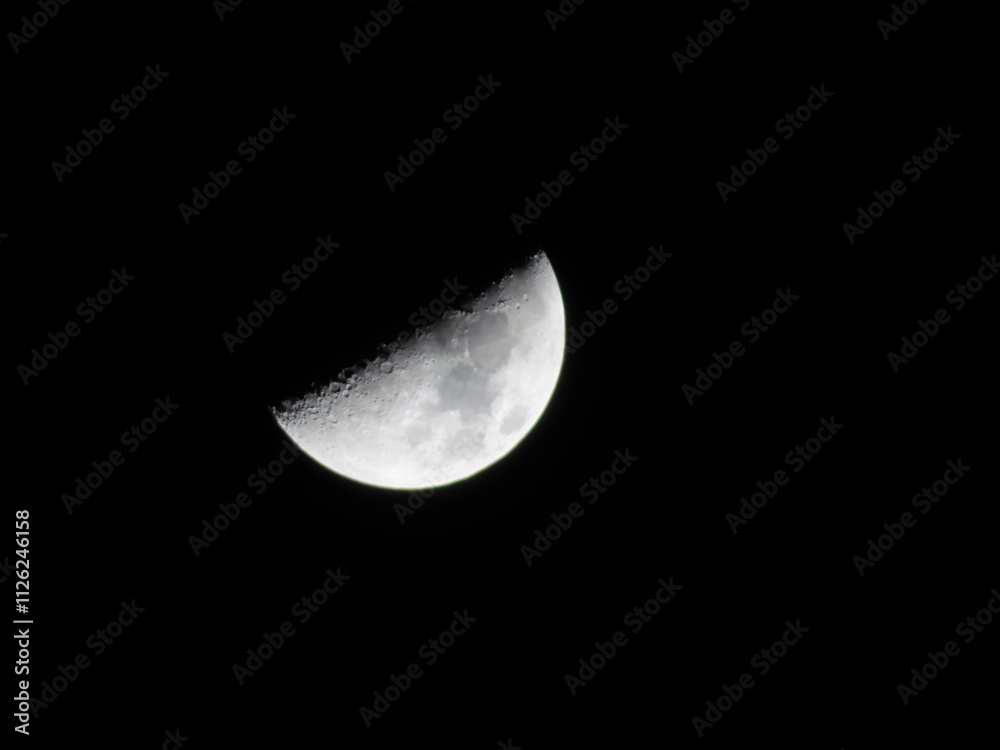 moon in the night
