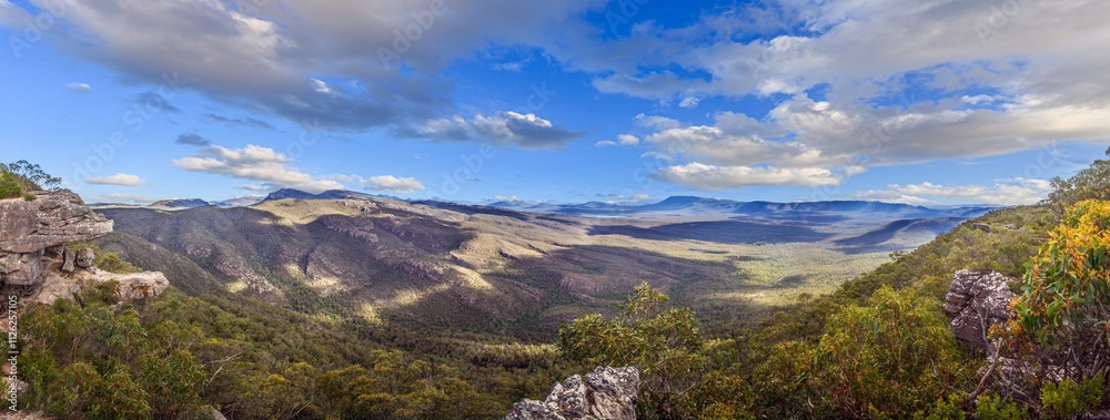 Naklejka premium Expansive valley view in Blue Mountains with dense forest, dramatic cliffs, and dynamic clouds