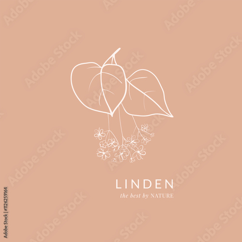 Hand drawn linden blossoms composition. Simple floral design on pink background