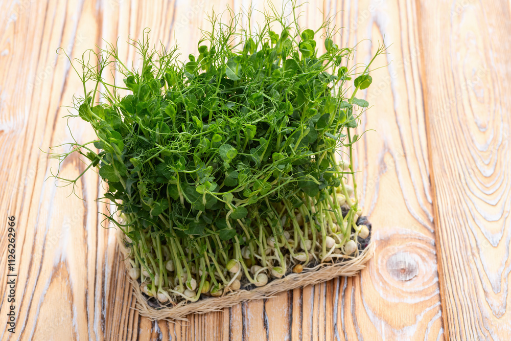 Organic microgreen pea photography . Healthy food . Top view Organic microgreen pea photography . Healthy food . Top view